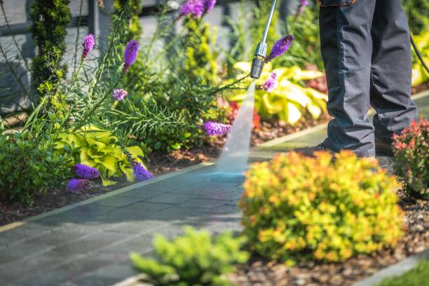 Professional Pressure Washing Services in Montebello, NY
